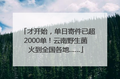 才开始，单日寄件已超2000单！云南野生菌火到全国各地……