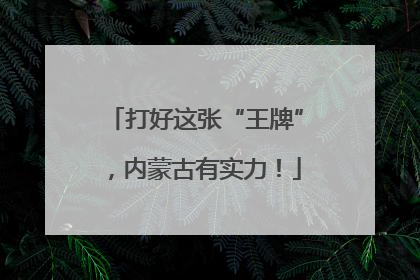 打好这张“王牌”，内蒙古有实力！