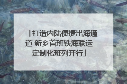 打造内陆便捷出海通道 新乡首班铁海联运定制化班列开行
