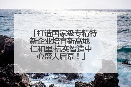 打造国家级专精特新企业培育新高地 仁和里·杭实智造中心盛大启幕！