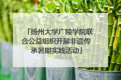 扬州大学广陵学院联合公益组织开展非遗传承暑期实践活动