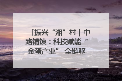 振兴“湘”村｜中路铺镇：科技赋能“金蛋产业” 全链驱动乡村振兴