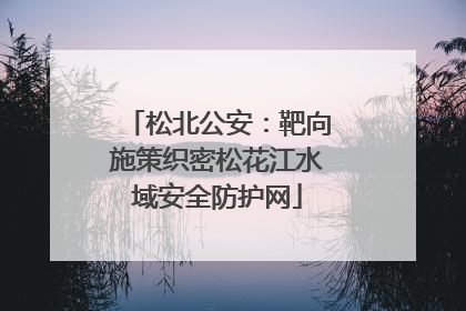松北公安：靶向施策织密松花江水域安全防护网