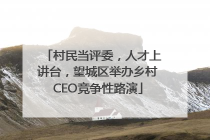 村民当评委，人才上讲台，望城区举办乡村CEO竞争性路演
