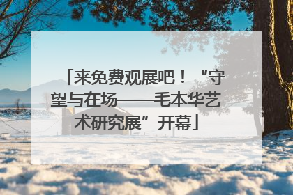 来免费观展吧！“守望与在场——毛本华艺术研究展”开幕