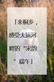 来桐乡，感受大运河畔的“宋韵”端午
