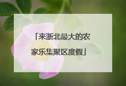 来浙北最大的农家乐集聚区度假