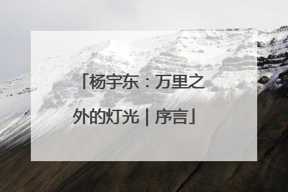 杨宇东：万里之外的灯光｜序言