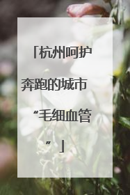 杭州呵护奔跑的城市“毛细血管”