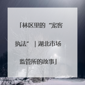 林区里的“宠客执法”｜湖北市场监管所的故事