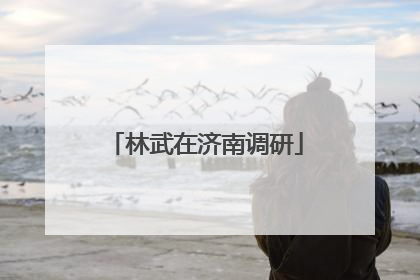 林武在济南调研