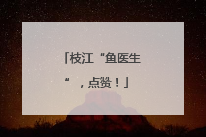 枝江“鱼医生”，点赞！