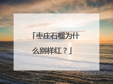 枣庄石榴为什么别样红？