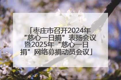 枣庄市召开2024年“慈心一日捐”表扬会议暨2025年“慈心一日捐”网络募捐动员会议