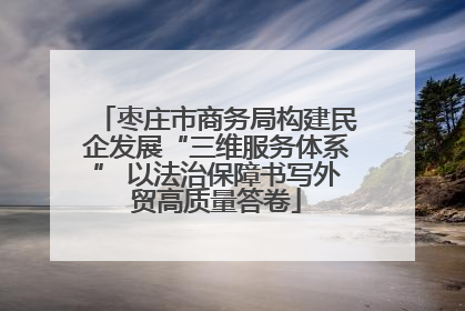 枣庄市商务局构建民企发展“三维服务体系” 以法治保障书写外贸高质量答卷