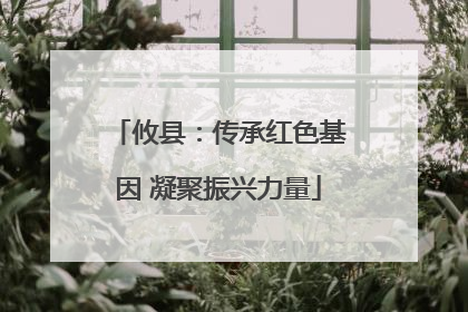 攸县：传承红色基因 凝聚振兴力量
