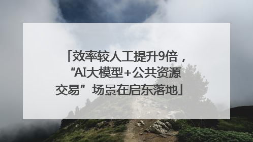 效率较人工提升9倍，“AI大模型+公共资源交易”场景在启东落地