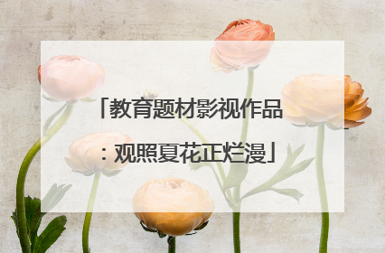 教育题材影视作品：观照夏花正烂漫