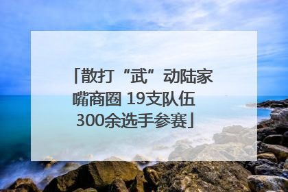 散打“武”动陆家嘴商圈 19支队伍300余选手参赛