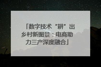数字技术“耕”出乡村新图景：电商助力三产深度融合
