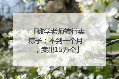 数学老师转行卖粽子：不到一个月，卖出15万个
