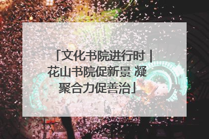 文化书院进行时｜花山书院促新景 凝聚合力促善治
