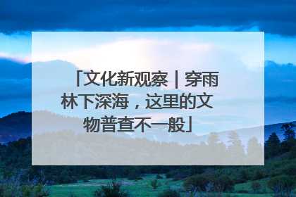 文化新观察｜穿雨林下深海，这里的文物普查不一般