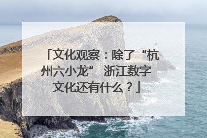 文化观察：除了“杭州六小龙” 浙江数字文化还有什么？