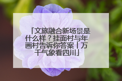 文旅融合新场景是什么样？挂面村与年画村告诉你答案丨万千气象看四川