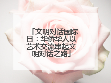 文明对话国际日：华侨华人以艺术交流串起文明对话之路