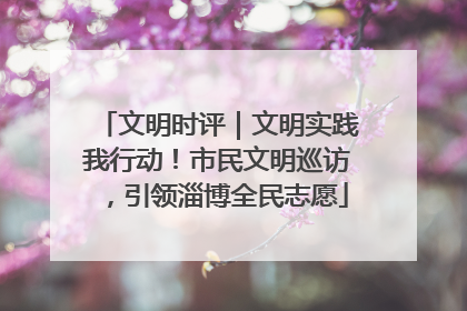 文明时评｜文明实践我行动！市民文明巡访，引领淄博全民志愿