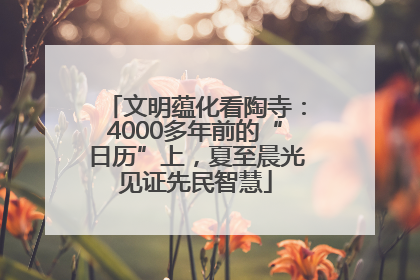 文明蕴化看陶寺：4000多年前的“日历”上，夏至晨光见证先民智慧