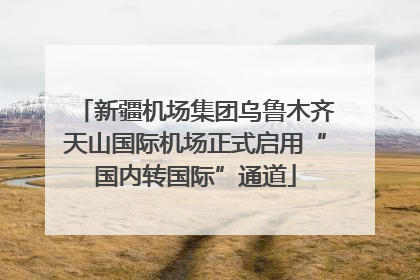 新疆机场集团乌鲁木齐天山国际机场正式启用“国内转国际”通道