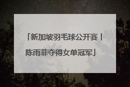 新加坡羽毛球公开赛丨陈雨菲夺得女单冠军