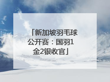 新加坡羽毛球公开赛：国羽1金2银收官