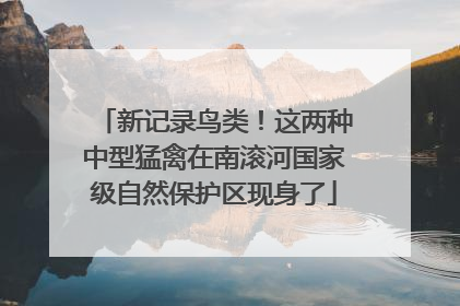 新记录鸟类！这两种中型猛禽在南滚河国家级自然保护区现身了