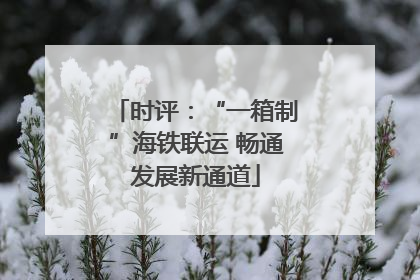 时评：“一箱制”海铁联运 畅通发展新通道