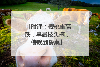时评：樱桃坐高铁，早晨枝头摘，傍晚到餐桌