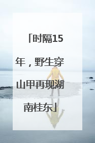 时隔15年，野生穿山甲再现湖南桂东