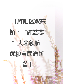 旌阳区双东镇：“旌益态”大米领航 优粮富民谱新篇