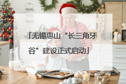 无锡惠山“长三角牙谷”建设正式启动