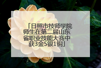 日照市技师学院师生在第二届山东省职业技能大赛中获3金5银1铜