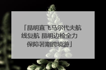 昆明直飞马尔代夫航线复航 昆明边检全力保障暑期跨境游
