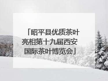昭平县优质茶叶亮相第十九届西安国际茶叶博览会