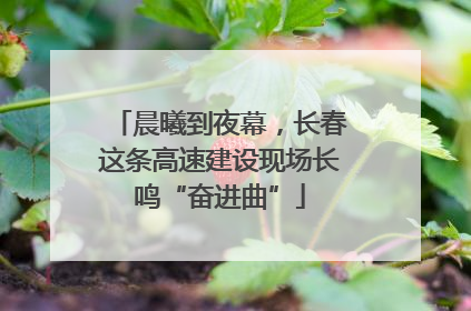 晨曦到夜幕，长春这条高速建设现场长鸣“奋进曲”
