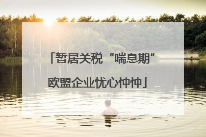 暂居关税“喘息期” 欧盟企业忧心忡忡