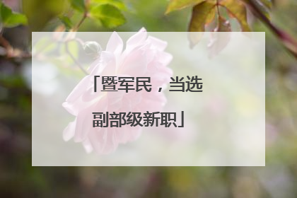 暨军民，当选副部级新职