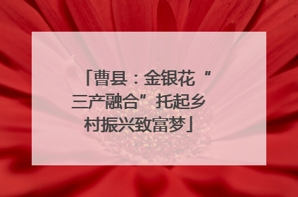 曹县：金银花“三产融合”托起乡村振兴致富梦