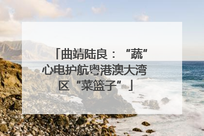 曲靖陆良：“蔬”心电护航粤港澳大湾区“菜篮子”