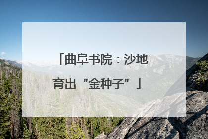 曲阜书院：沙地育出“金种子”